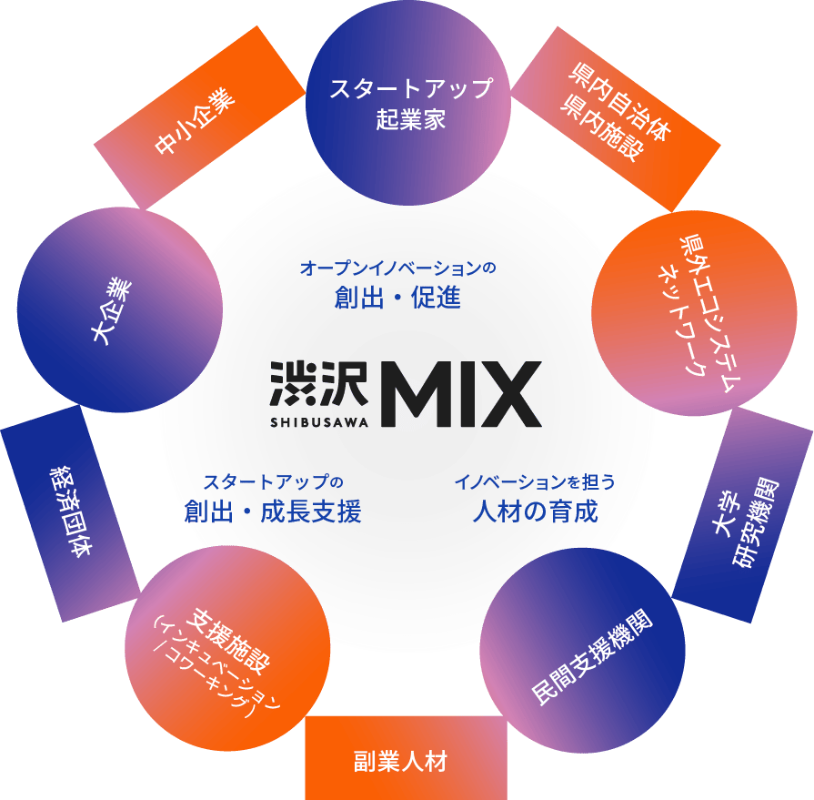 渋沢MIX概念図